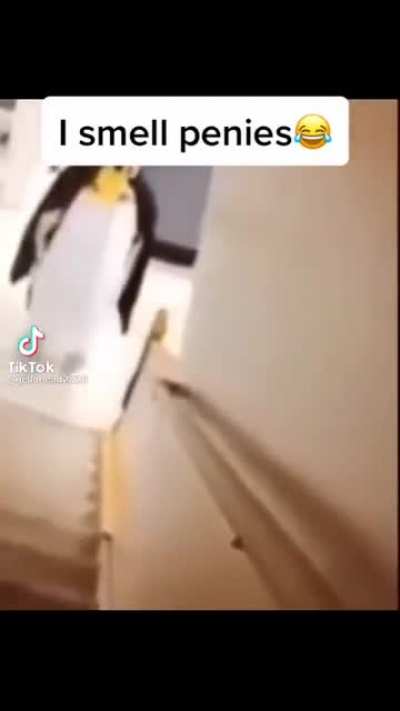 Perfectly cut screams