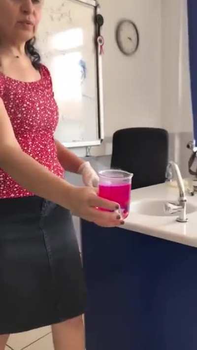 school experiments