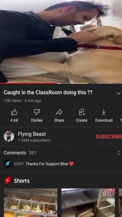BEASTALITY