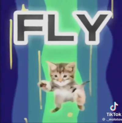 Music is like music to my ears