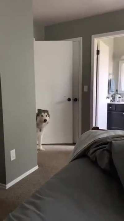 He’s trying to tell you something