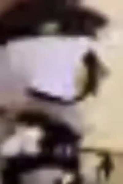 ㅤㅤ