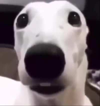 🥶
