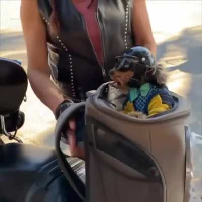 Safety furrst