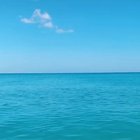 Larsen in a Blue Bikini - Tik Tok