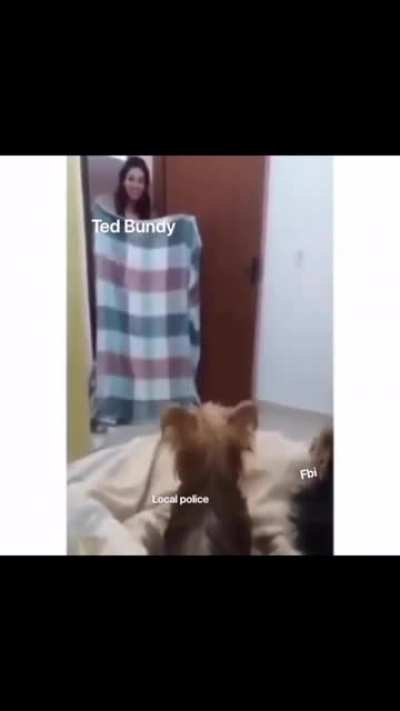 truecrimememes