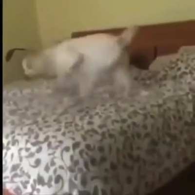 hmm