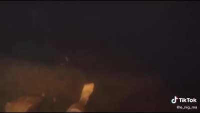 Taking the dive