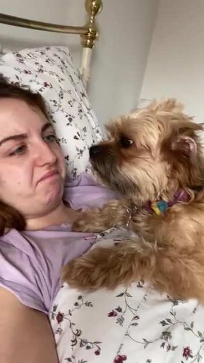 When puppy’s attack.