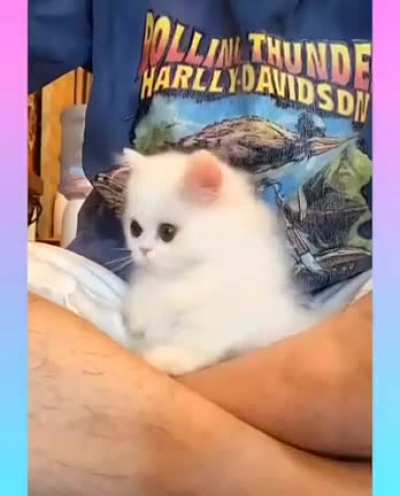 Smol floof ball