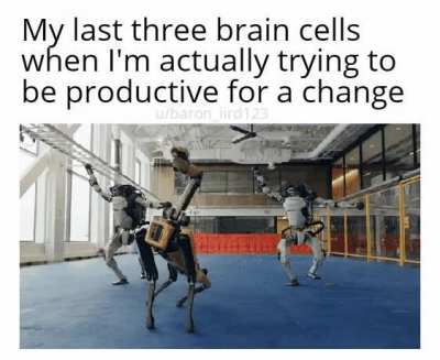 My brain cells are most productive at night when I want to sleep