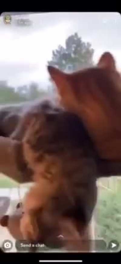 His heart stop for a second