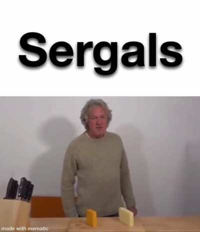 Sergal_irl