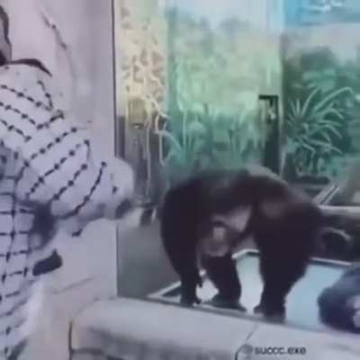 My and my monkeys reaction when I black border another expert map