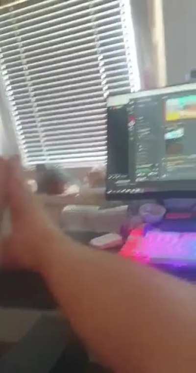 Budget HowToBasic