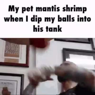 Ball