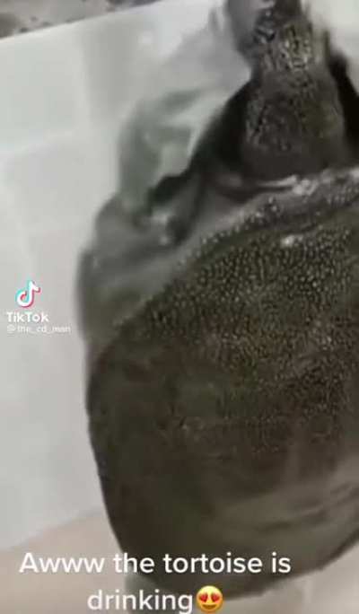 her 