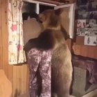 What the hell is going on here?