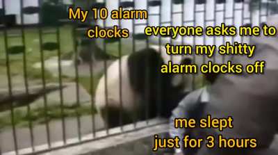 Every damn time lol