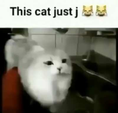 Cat be eateot@?!?!?!?!!?