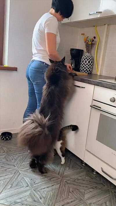 XXL Bottle Brush