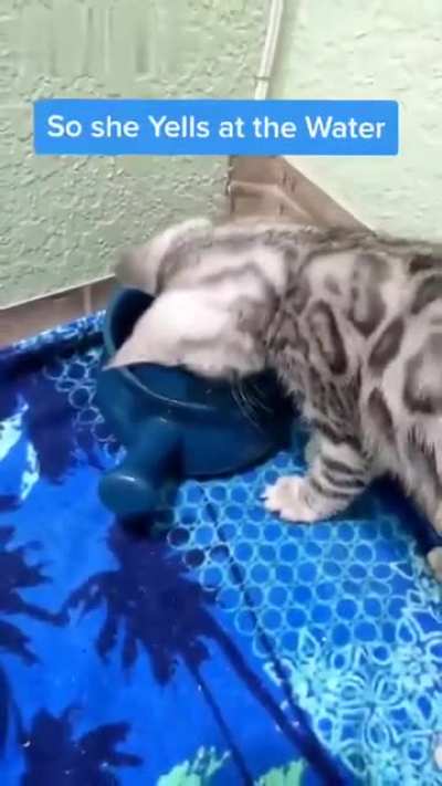 Hey! Stop that!