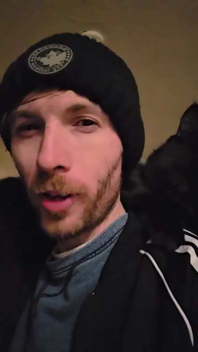 Milo the kitten prefers heights