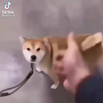 My new car alarm
