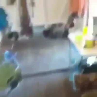 Que