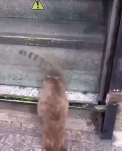 Agent tactical insertion on espionage mission