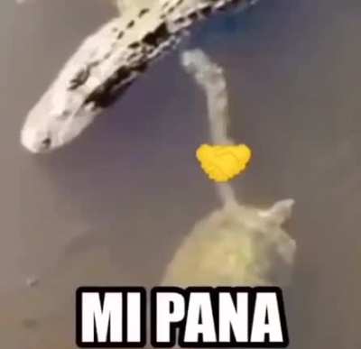 mipana