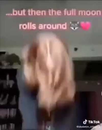 🐩
