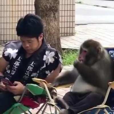 Just a man and a monkey having a conversation