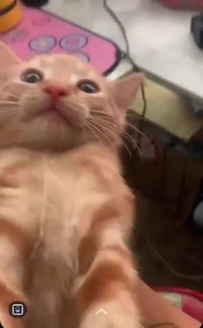 waaaaa