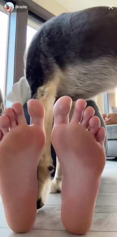 The perfect soles of Brielle