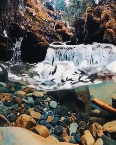 Crystal clear water in an Alaskan lake