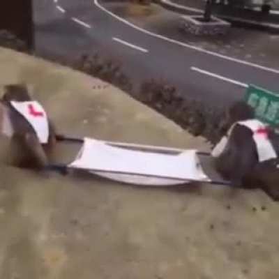 rule?