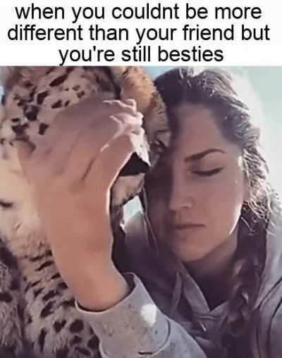 when you find that purrrfect friend!