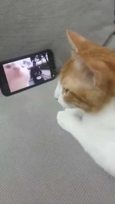 Jammin' out