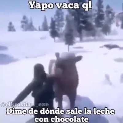 Decime vaca culia