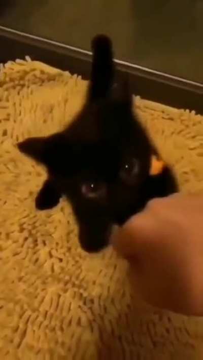 Vicious Void Attack
