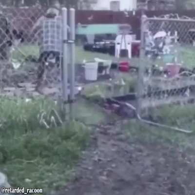 Rat helicopter :)