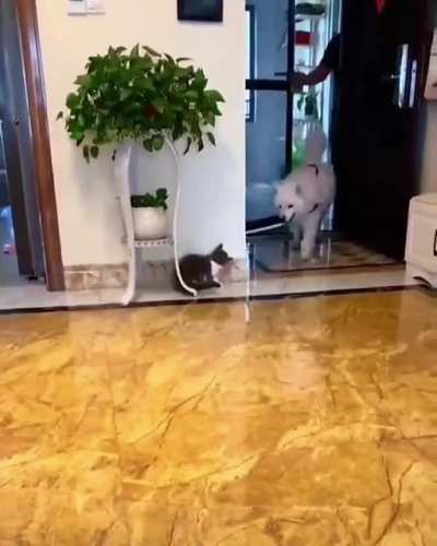 Mission failed successfully.
