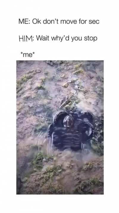 gay🐙irl