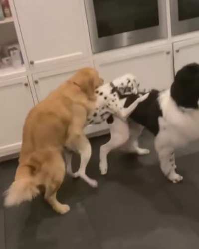 Blursed_Conga_Line