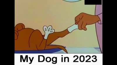Venezuela Moment