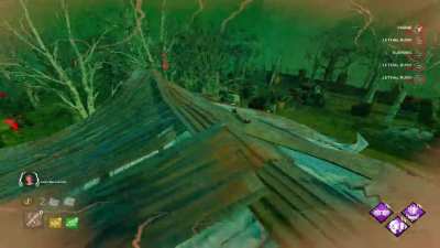 Skyblight takes off onto the top of the shack