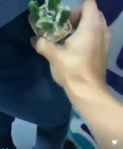 Hes got something in his pocket