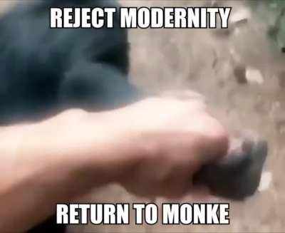 🐵