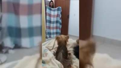Након<wbr>ец-то она ушла